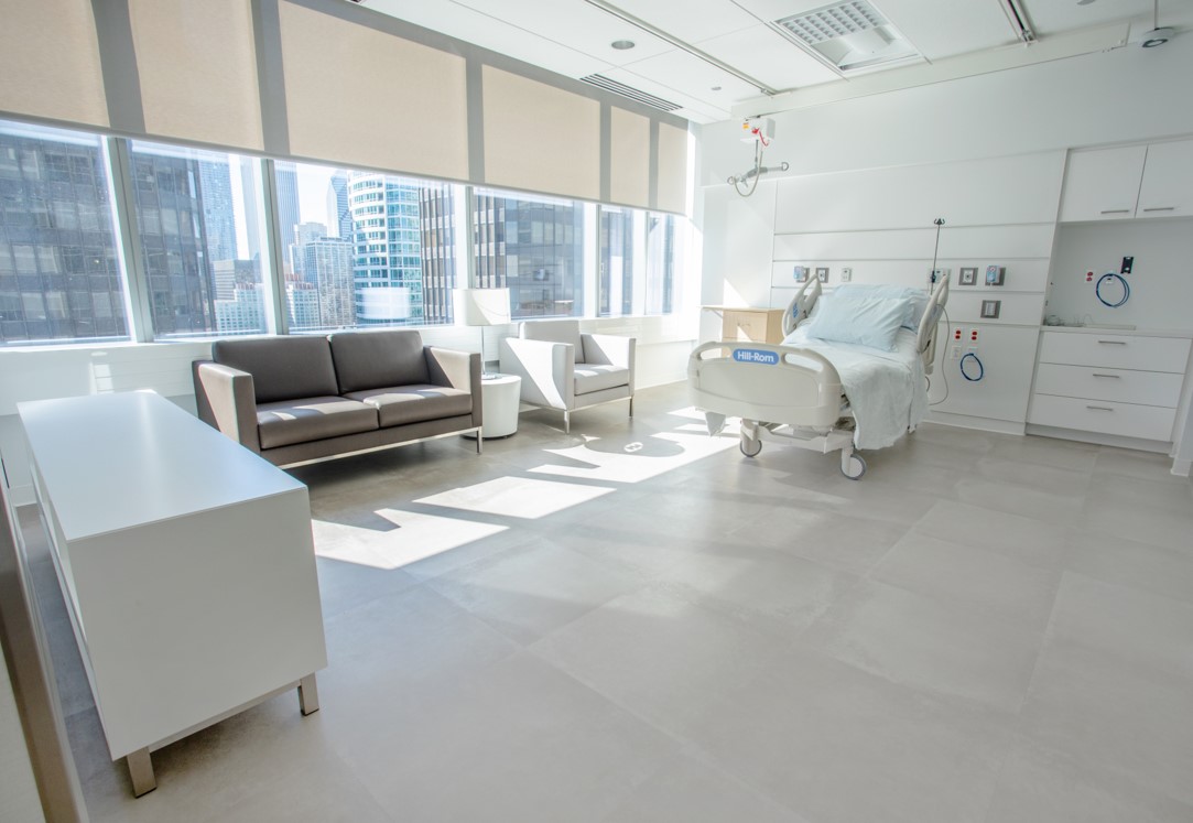 Patient bed and guest furniture