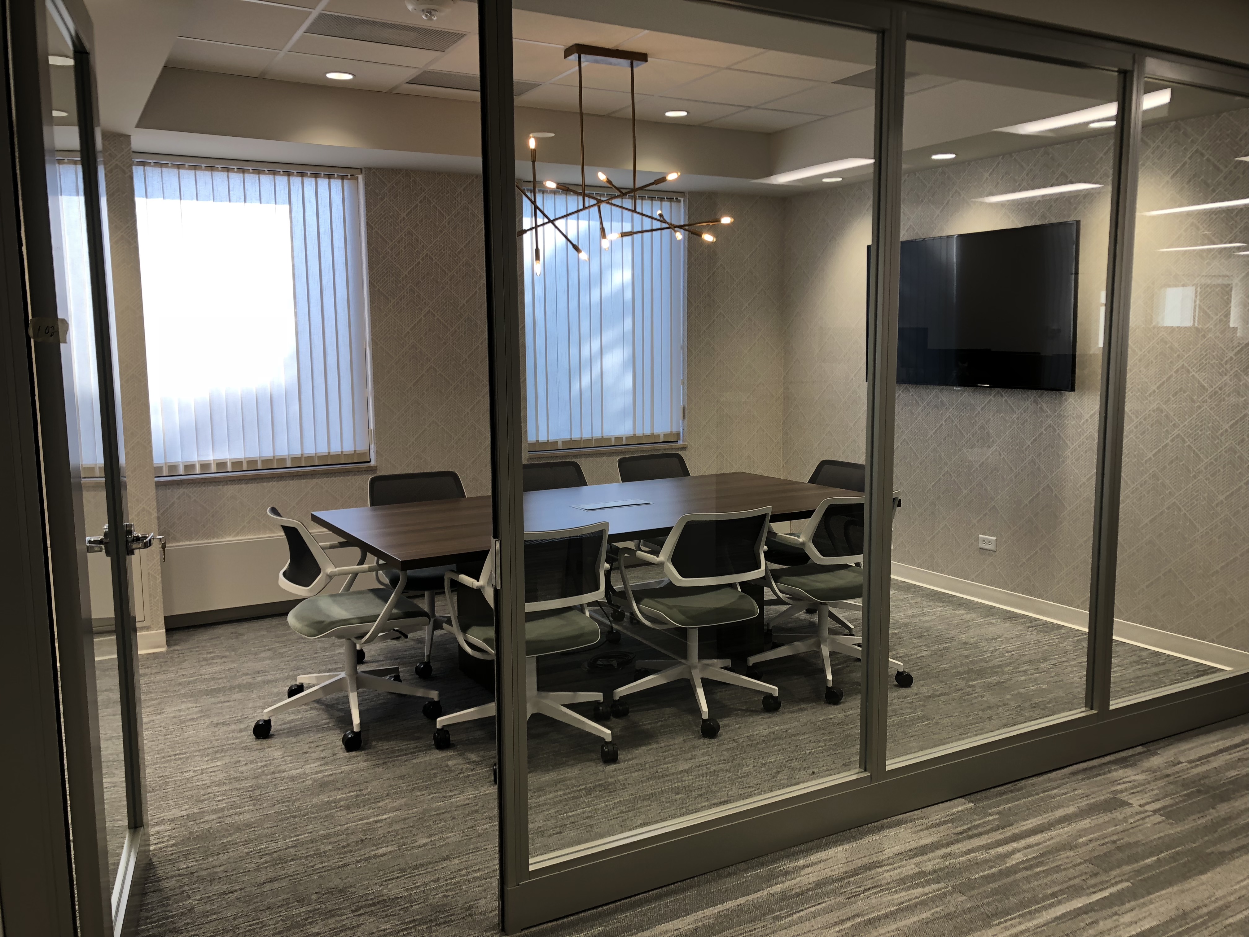 Acoustically Private Conference Room and Lighting Fixture